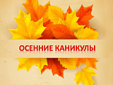 Внимание! С 21 октября по 5 ноября 2024 года на территории Челябинской области проводится профилактическая акция "Осенние каникулы".